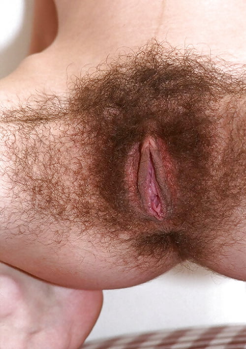 Daily hairy pussy galleries