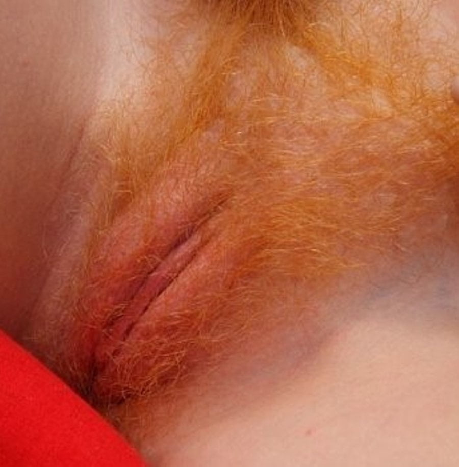 Hairy redhead pussy close up