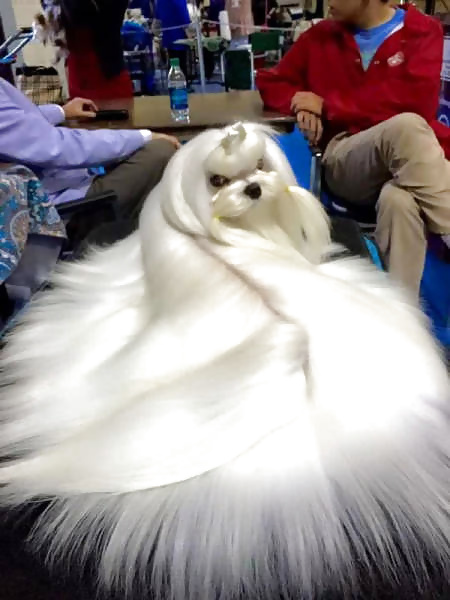 Sex Gallery Girls and Diverses 52