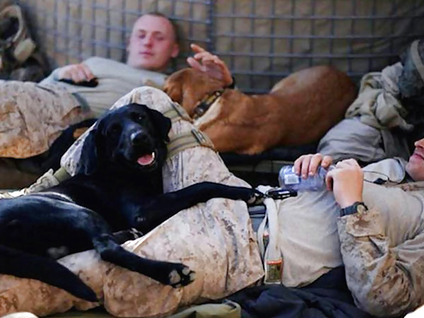 Sex Gallery Girls and Diverses 108