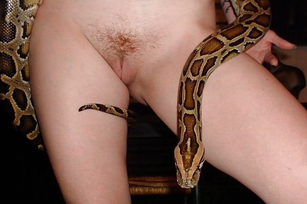 Sex Gallery Beautiful girl with a snake
