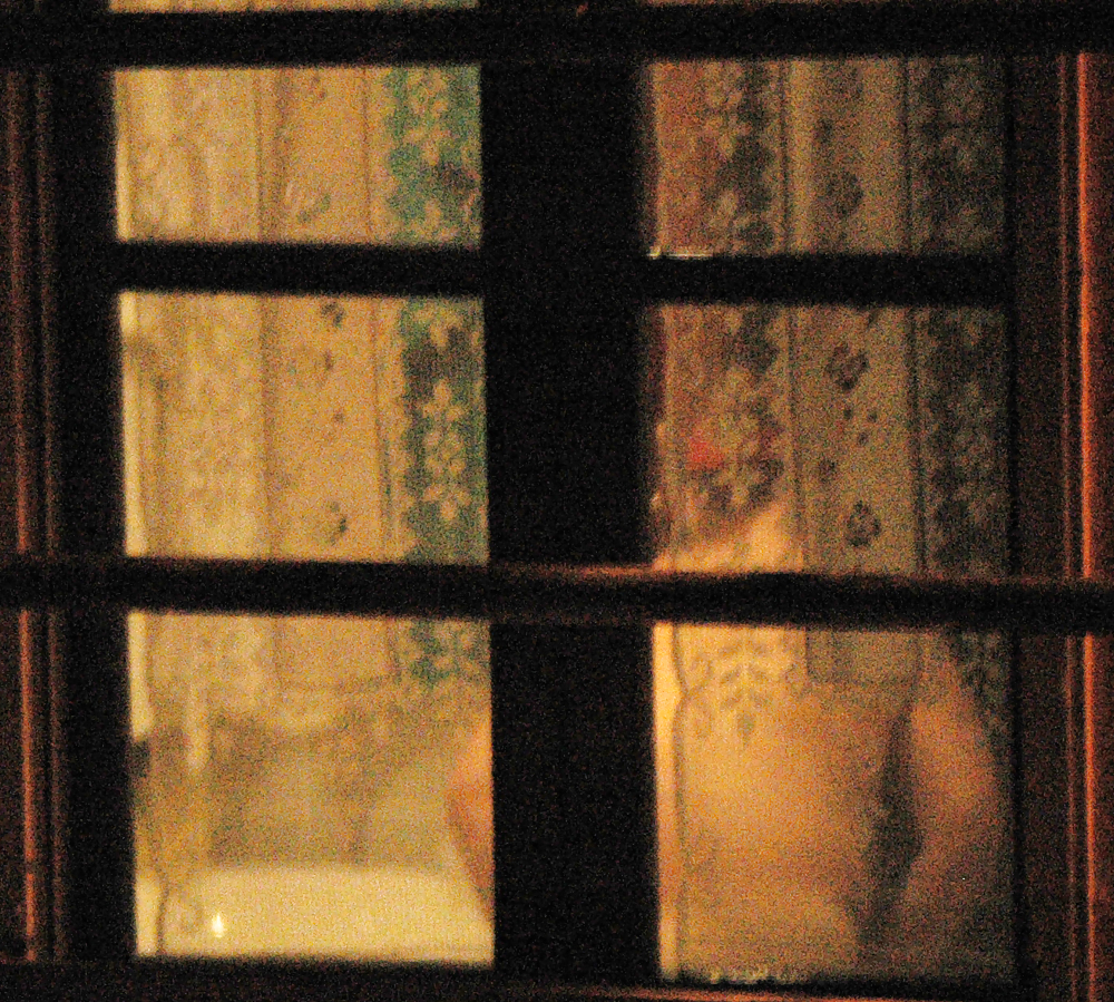 Sex Gallery neighbor
