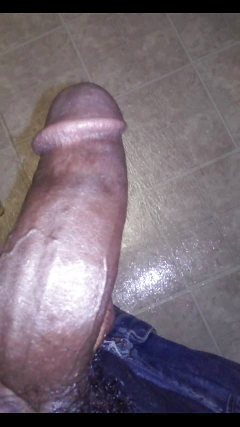 Sex Gallery A Dick Collection