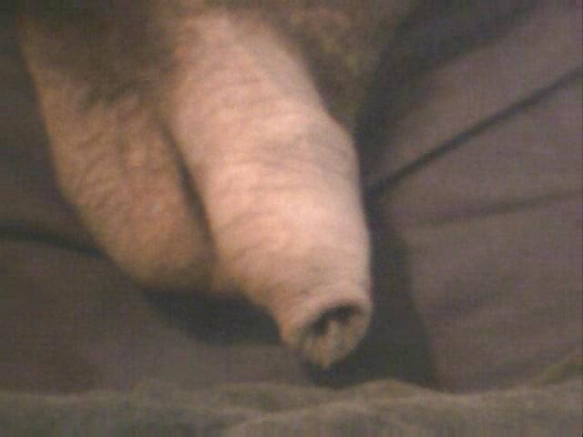 Sex Gallery my penis