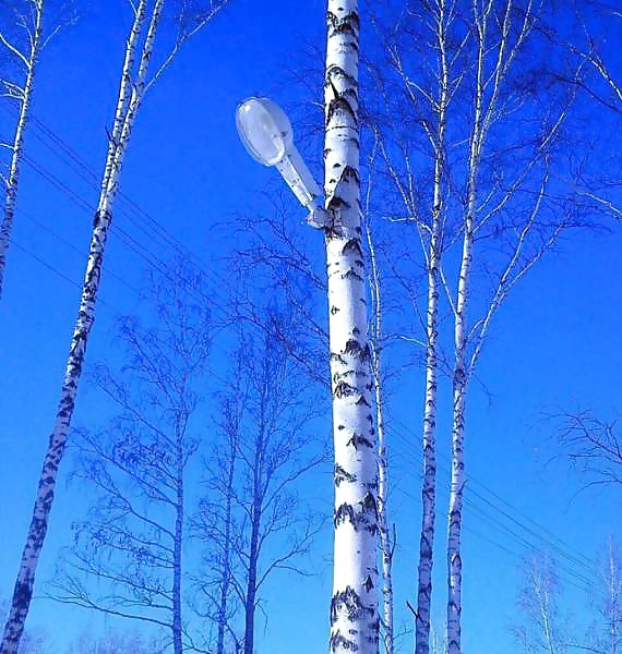 Sex Gallery Girls and Diverses 29