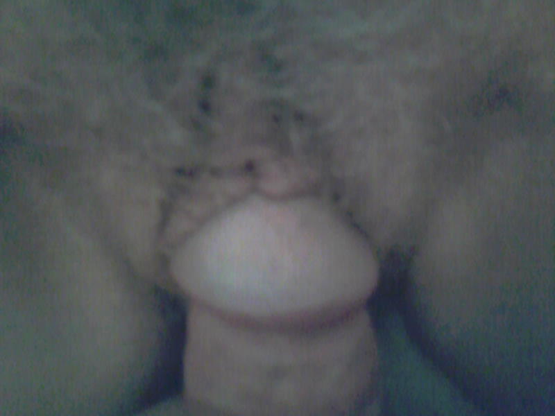 Sex Gallery Oldie but goody