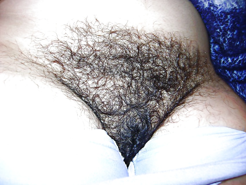 Sex Gallery Hairy pussy amateurs