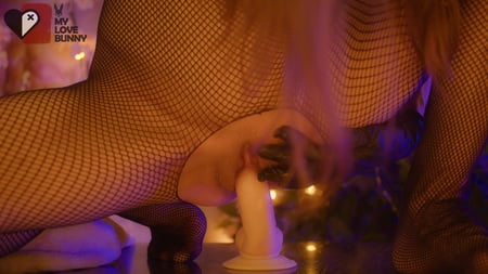 bunny mr dong mylovebunny xx         