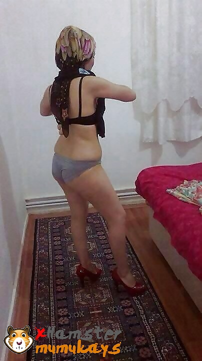 Sex Gallery Turkish Ass Pics Part 13 (Only Hijab)