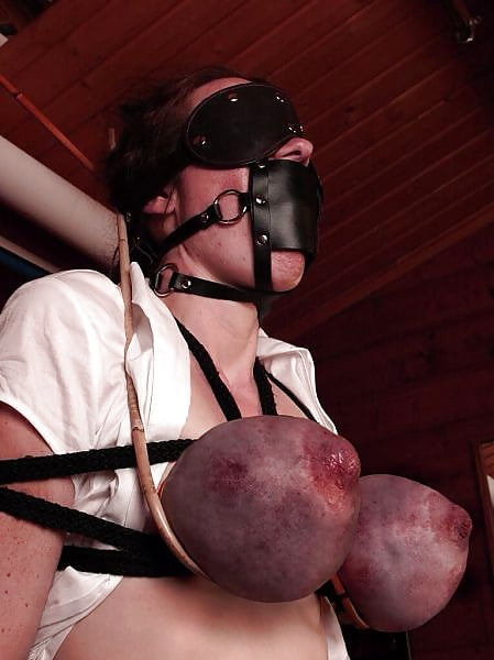 Sex Gallery salopes soumises seins tortures