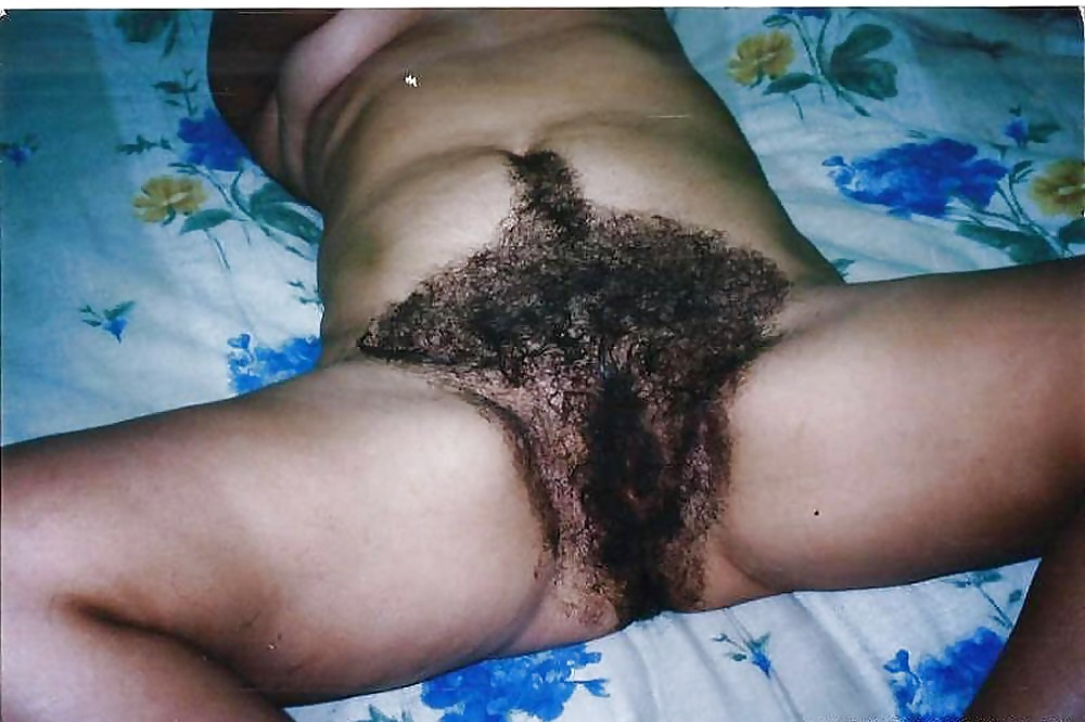 Free Hairy Pussy Hq Porn Pics