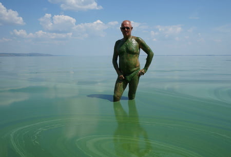 in green algae         