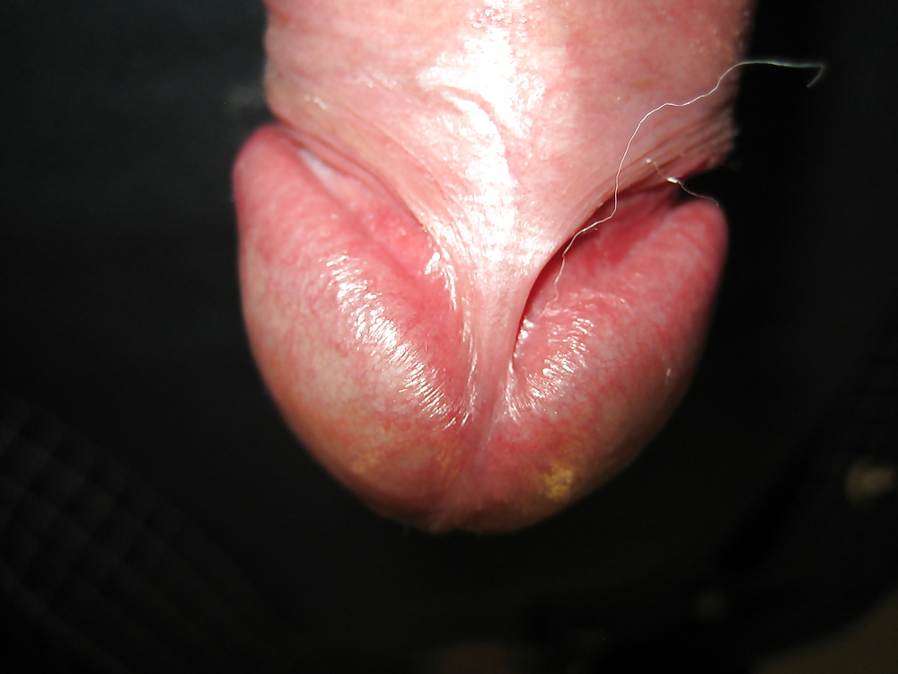 Sex Gallery cook of molli 9