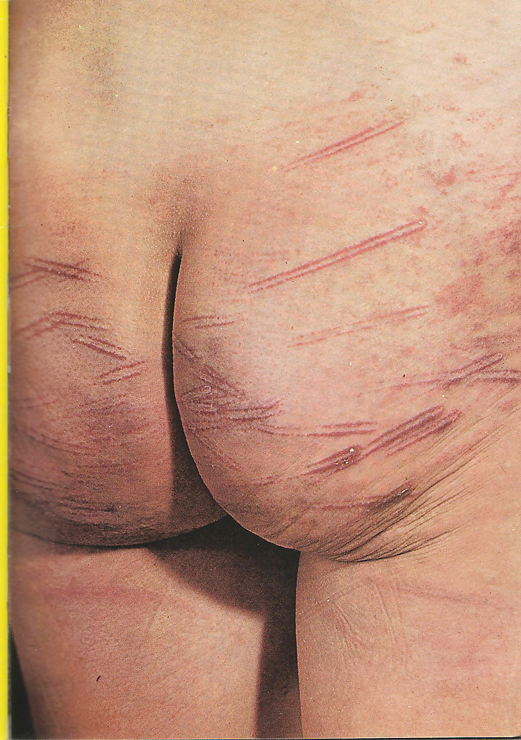 Perverted Orgies 1 Vintage Porno Magazine 48 Pics