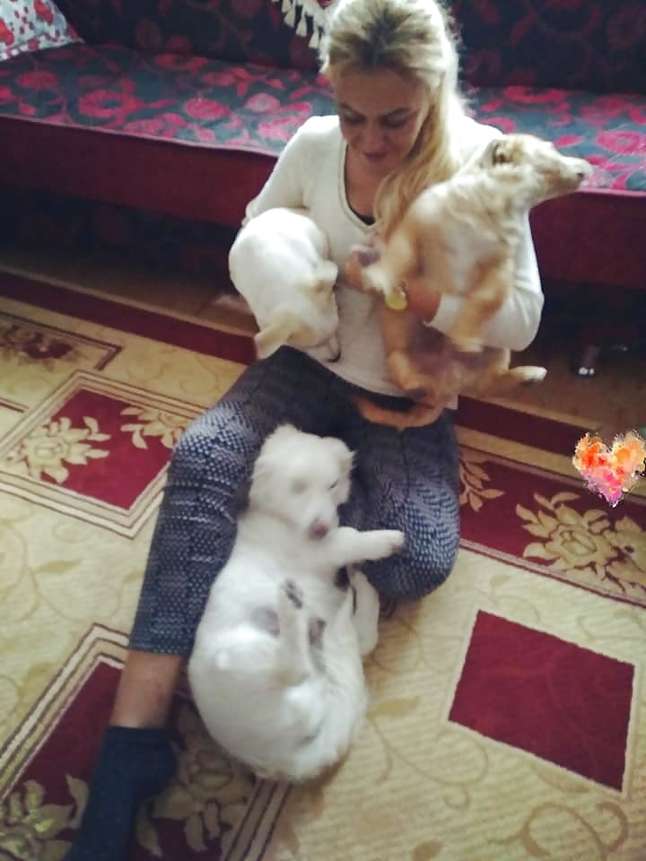 Sex Gallery turkish anne ensest mom