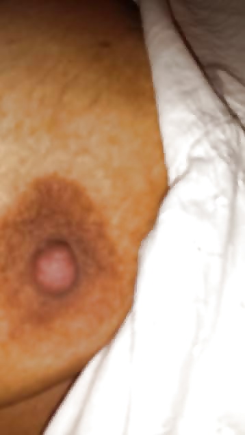 Sex Gallery hairy bbw...zacktoria