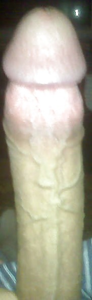 Sex Gallery Me & My 8 Inches.