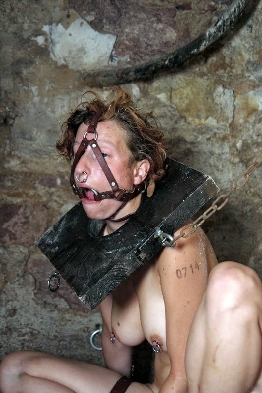 Tattooed girls tortured in BDSM photo.