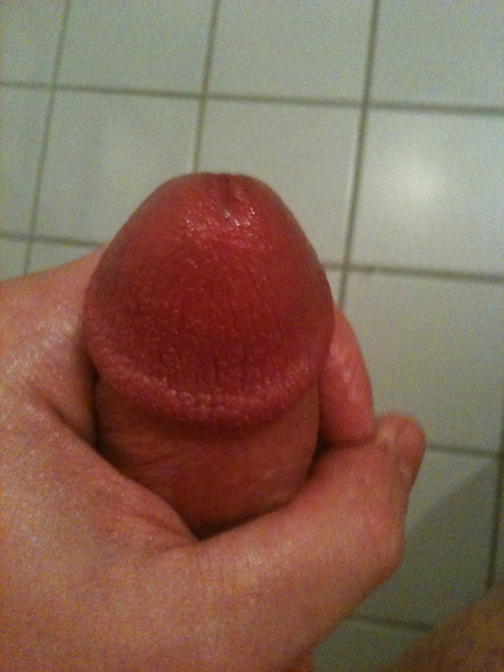 Sex Gallery my cock