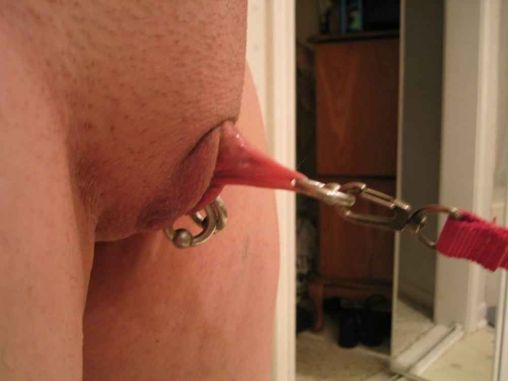 Large Gauge Pussy Piercings Or Weighted Labia 94 Pics