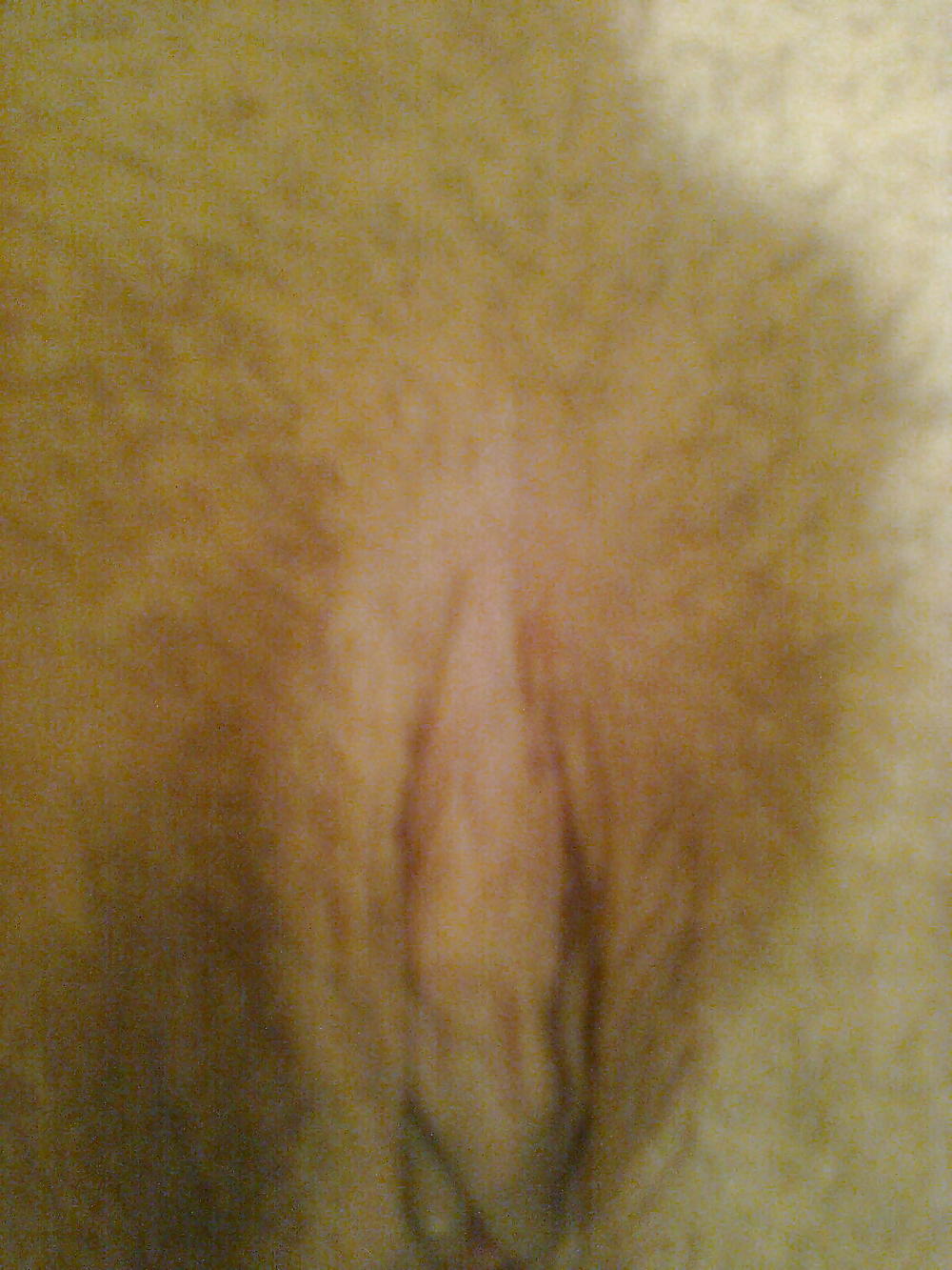 Sex Gallery My Wife's BJ