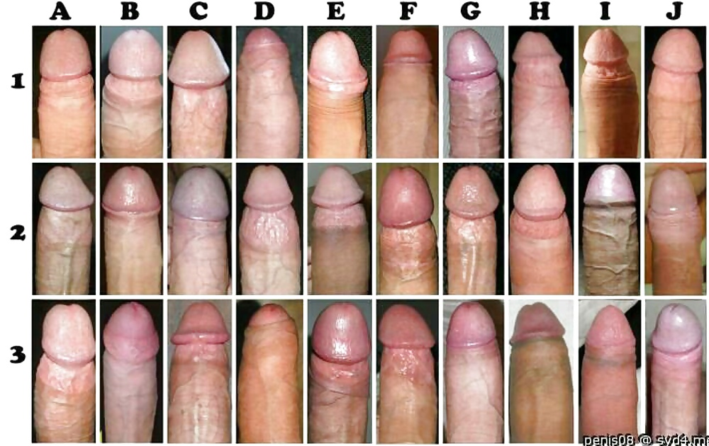 Different Kinds Of Penises You May Encounter Sex.