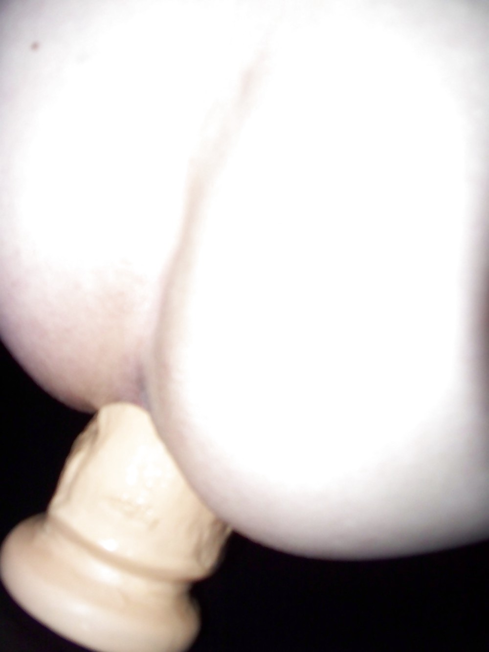 Sex Gallery 18 inch Rambone + balls dildo