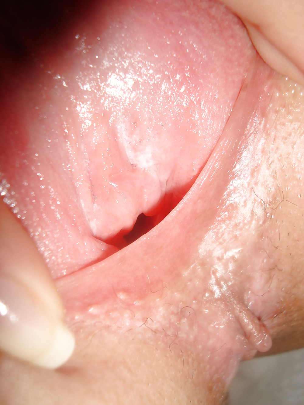 Sex Gallery amateur blonde