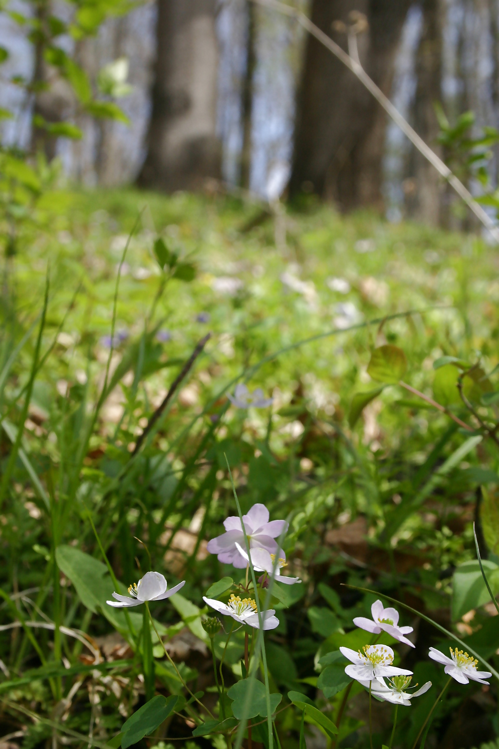 Sex Gallery A Different View