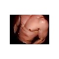 Sex Gallery hello