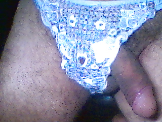Sex Gallery strin steno dandela