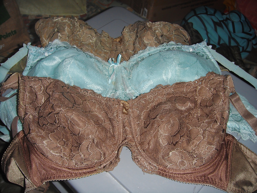 Sex Gallery My Personal Bra Collection