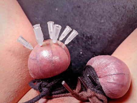 Testicle Skewering Needles In Balls Cbt Session Pics Xhamster