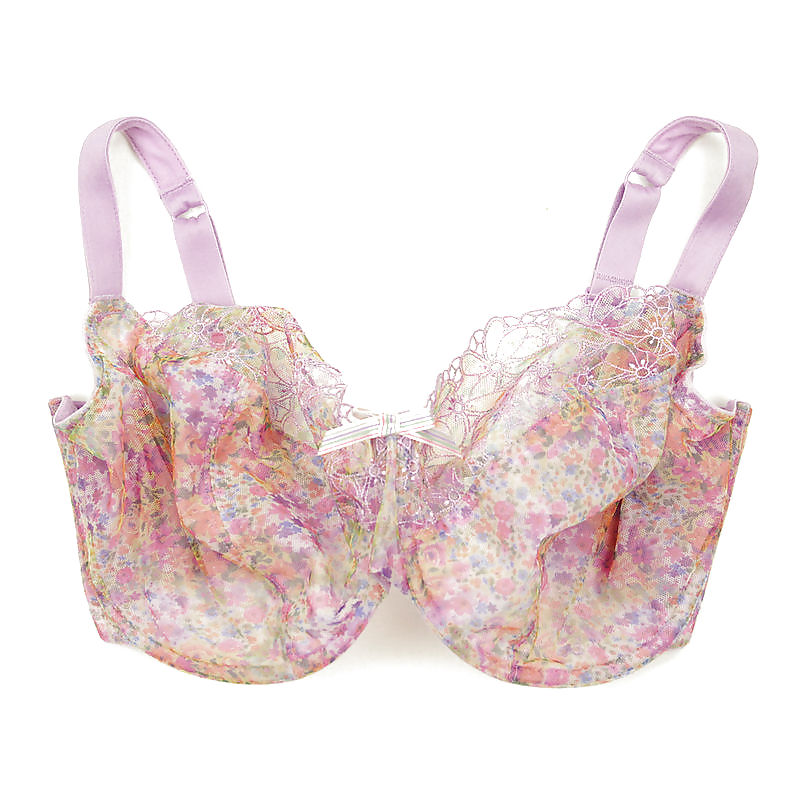 Sex Gallery Nice big bras