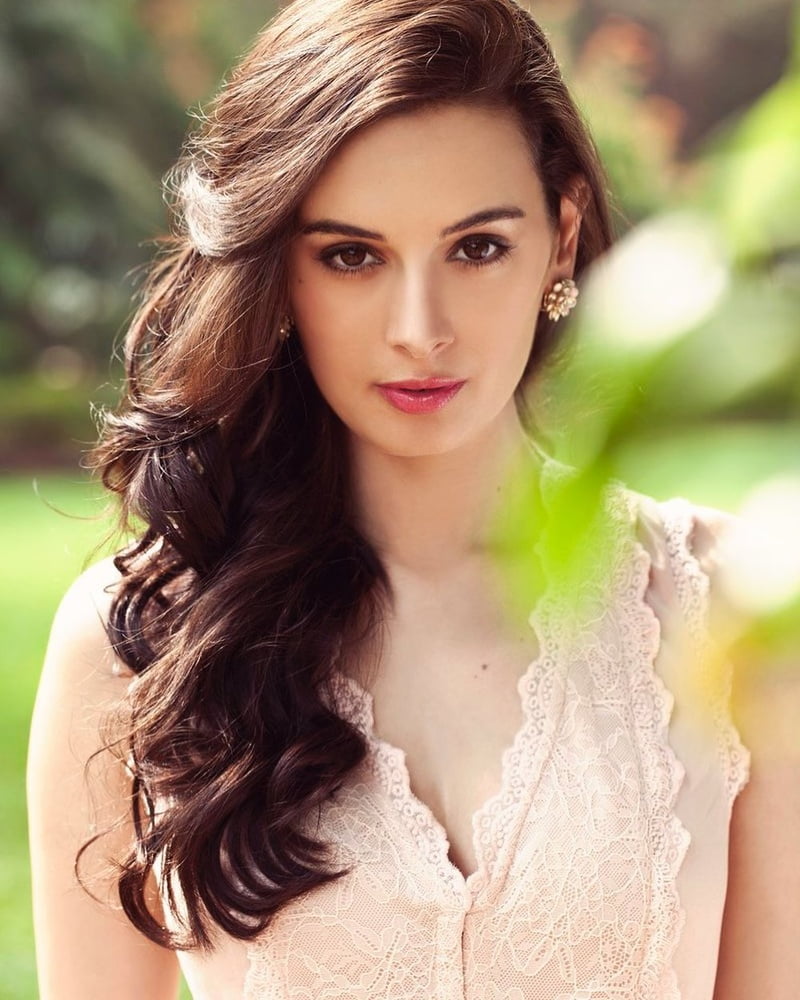 Evelyn Sharma - 78 Photos 