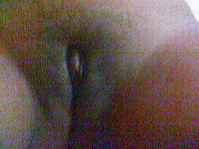 Sex Gallery pussy