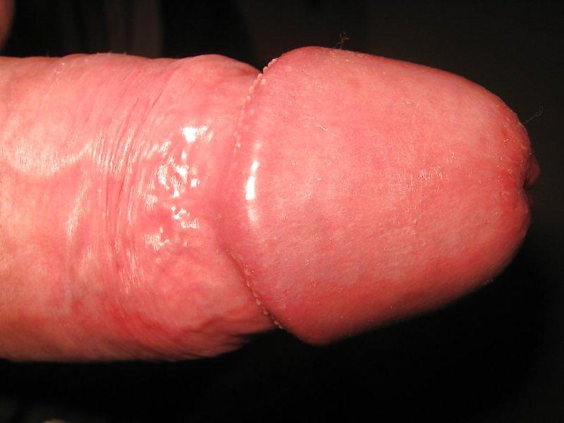 Sex Gallery geiler Schwanz von Thundertiger