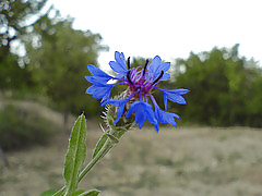 Sex Gallery senin icin