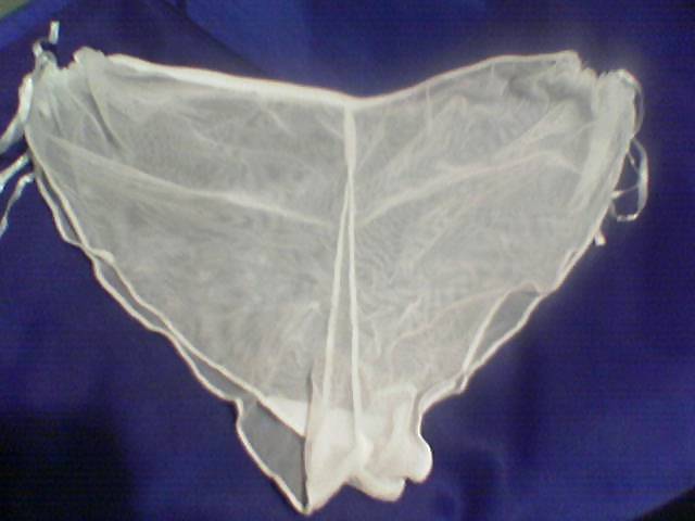 Sex Gallery my panties