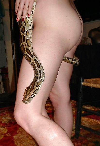 Sex Gallery Beautiful girl with a snake