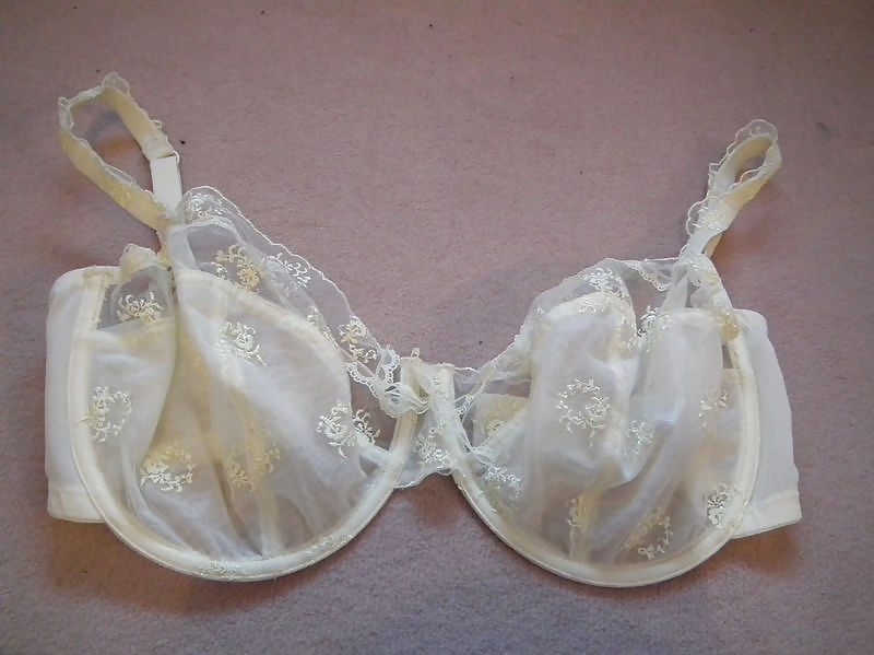 Sex Gallery Nice big bras