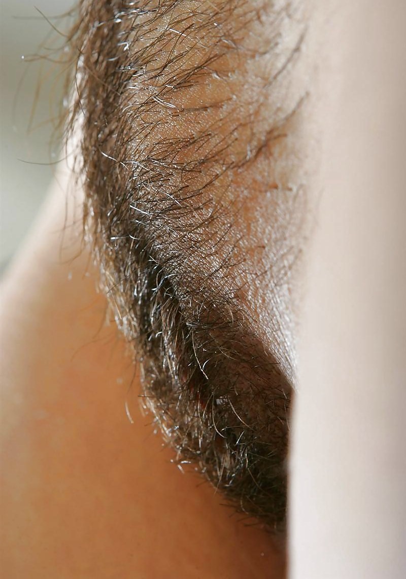 Sex Gallery HAIRY PUSSIES