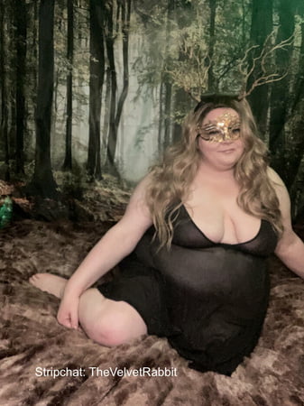 velvet rabbit free photos         