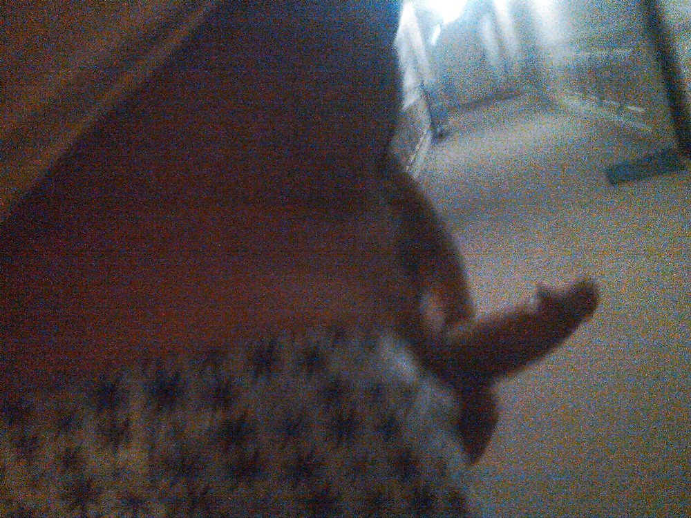 Sex Gallery Jerking in Public Hallway