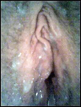 Sex Gallery Creamed Pussy