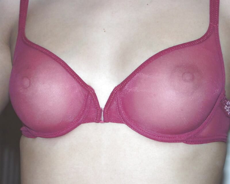 Sex Gallery SHEER BRA