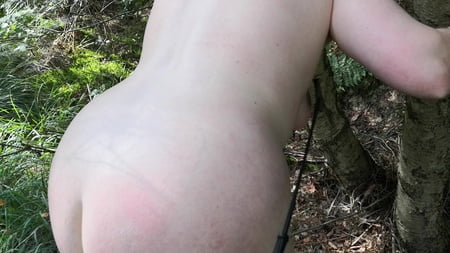 naked tits and ass whipping in woods         