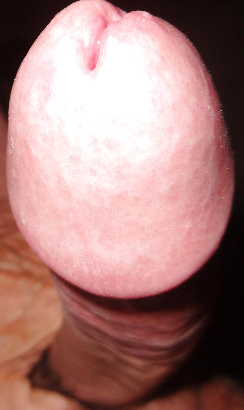 Sex Gallery Verga golosa