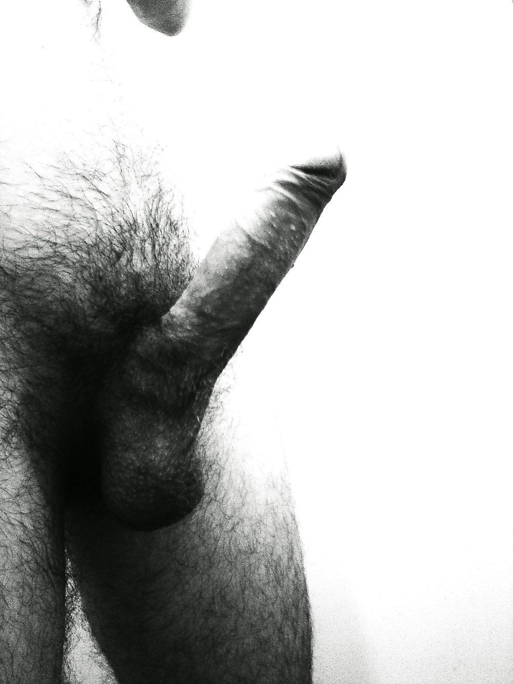 Sex Gallery Black and White Cock