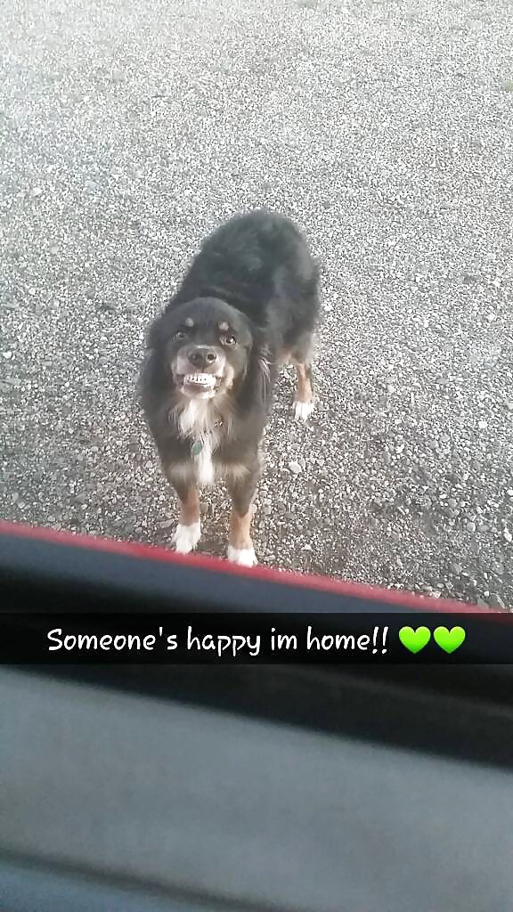 Sex Gallery Girls and Diverses 64